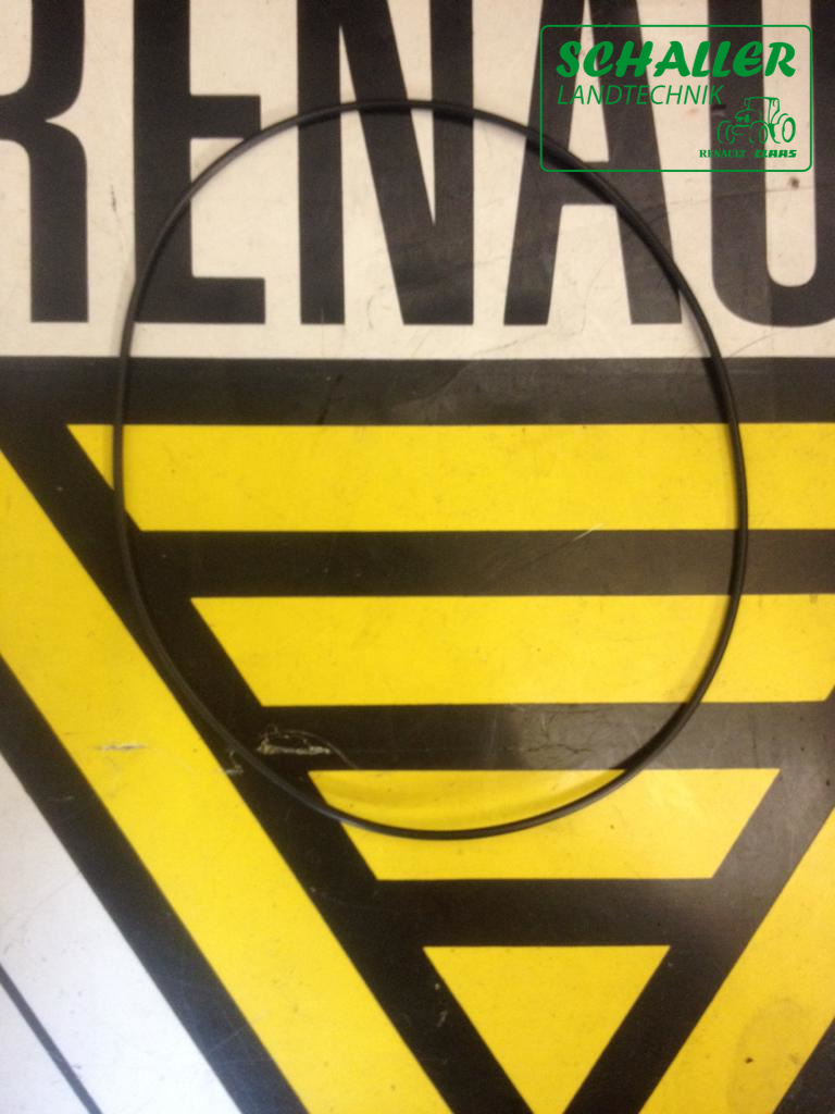 O-Ring für Vorderachsbuchse Carraro Ceres, Celtis