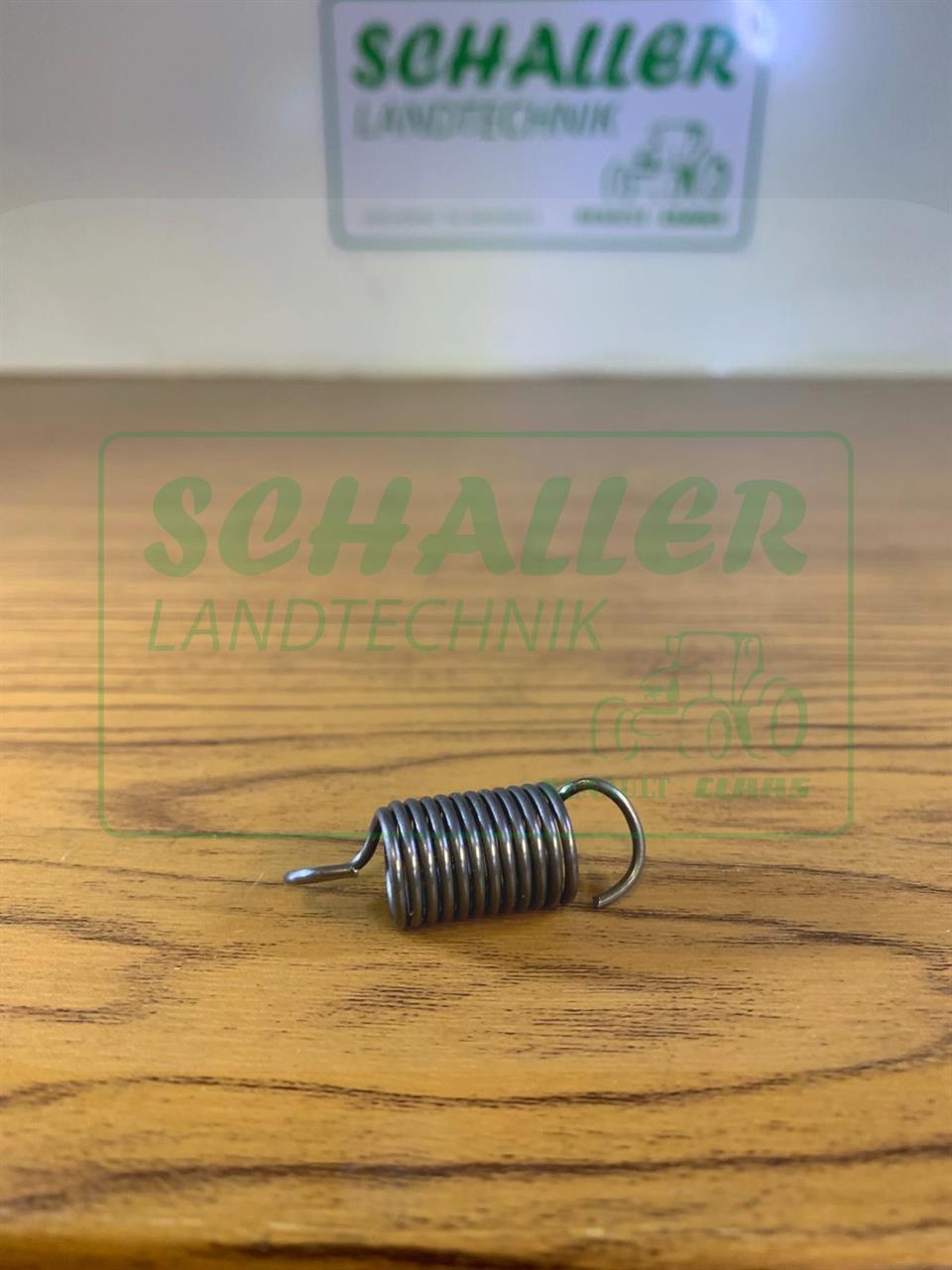 Einspritzpumpendeckel- Feder innen (Gasregulierung) ab 100PS