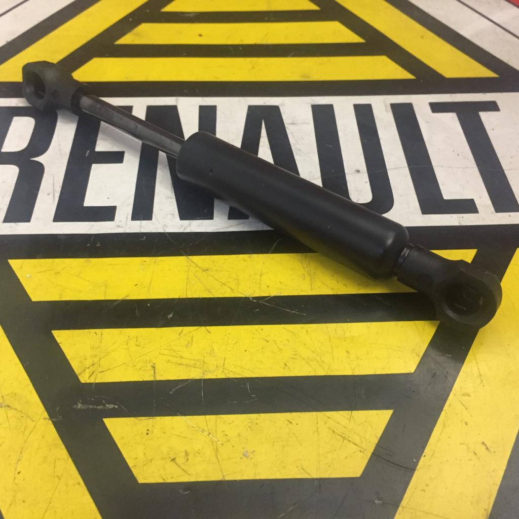 Gasfeder für Türe Ares Länge 185mm